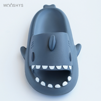 wooshys shark slides